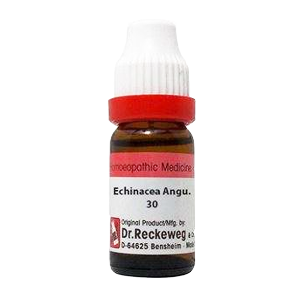 Echinacea 30, 11ml - Dr. Reckeweg